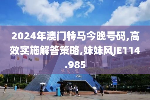 2024年澳門特馬今晚號碼,高效實施解答策略,妹妹風JE114.985