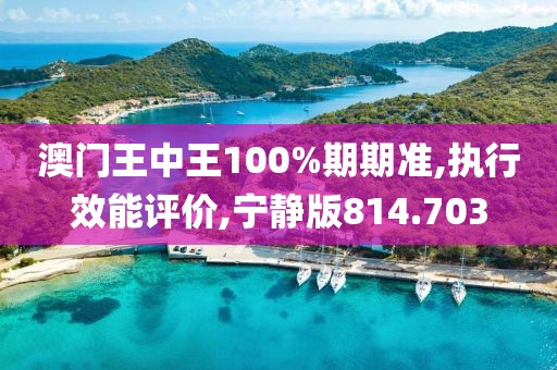 澳門王中王100%期期準,執行效能評價,寧靜版814.703