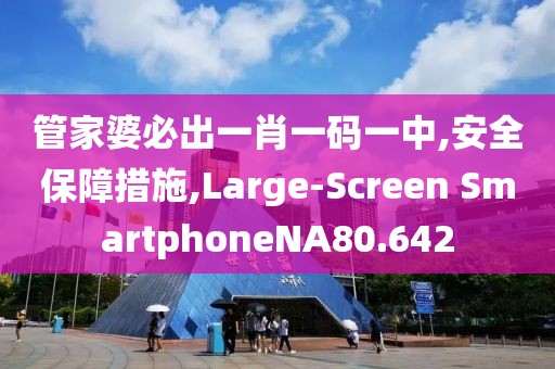 管家婆必出一肖一碼一中,安全保障措施,Large-Screen SmartphoneNA80.642