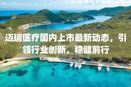 邁瑞醫療國內上市最新動態，引領行業創新，穩健前行