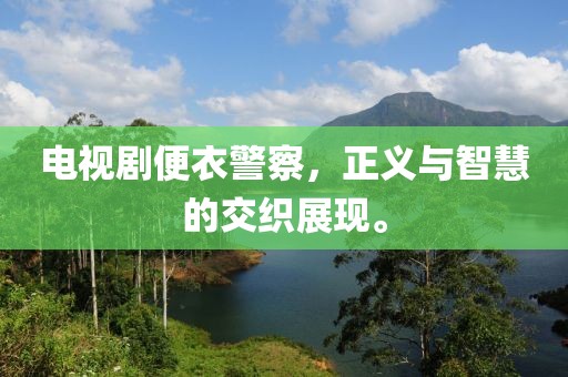 電視劇便衣警察，正義與智慧的交織展現。