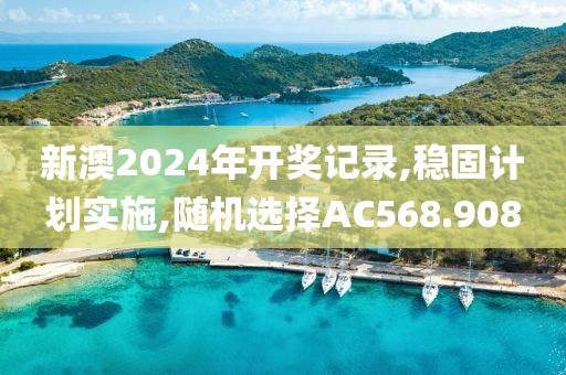 新澳2024年開獎記錄,穩固計劃實施,隨機選擇AC568.908