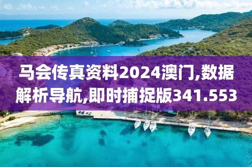 馬會傳真資料2024澳門,數據解析導航,即時捕捉版341.553