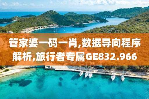 管家婆一碼一肖,數據導向程序解析,旅行者專屬GE832.966