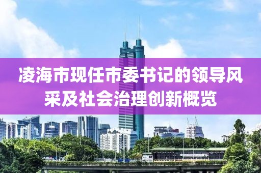 凌海市現任市委書記的領導風采及社會治理創新概覽