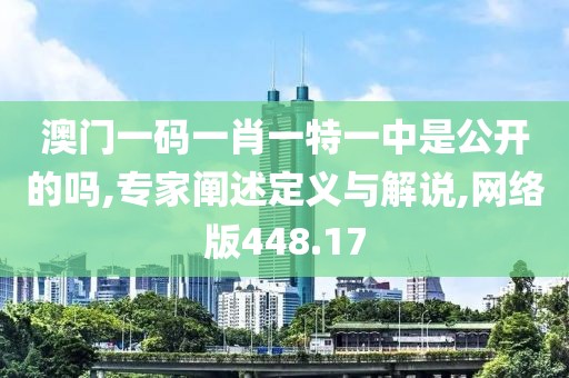 澳門一碼一肖一特一中是公開的嗎,專家闡述定義與解說,網絡版448.17