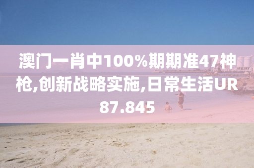 澳門一肖中100%期期準47神槍,創新戰略實施,日常生活UR87.845