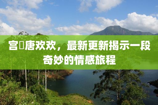 宮洺唐歡歡，最新更新揭示一段奇妙的情感旅程