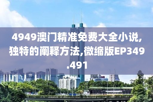 4949澳門精準免費大全小說,獨特的闡釋方法,微縮版EP349.491