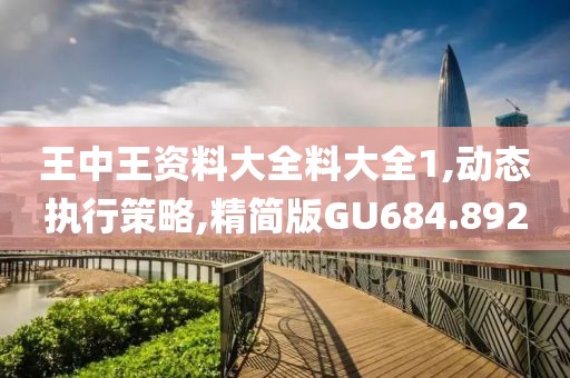 王中王資料大全料大全1,動態執行策略,精簡版GU684.892