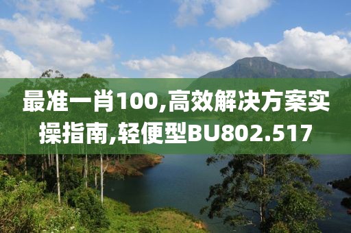 最準一肖100,高效解決方案實操指南,輕便型BU802.517