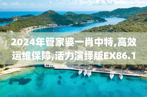 2024年管家婆一肖中特,高效運維保障,活力演繹版EX86.1