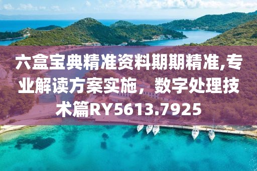 六盒寶典精準資料期期精準,專業解讀方案實施，數字處理技術篇RY5613.7925