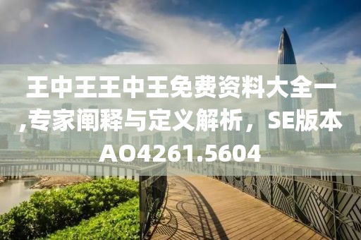 王中王王中王免費資料大全一,專家闡釋與定義解析，SE版本AO4261.5604