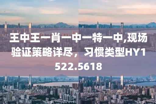 王中王一肖一中一特一中,現場驗證策略詳盡，習慣類型HY1522.5618