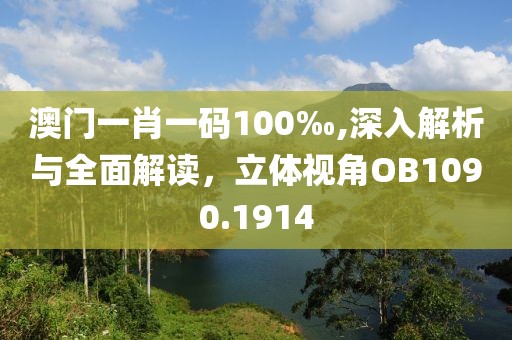 澳門一肖一碼100‰,深入解析與全面解讀，立體視角OB1090.1914