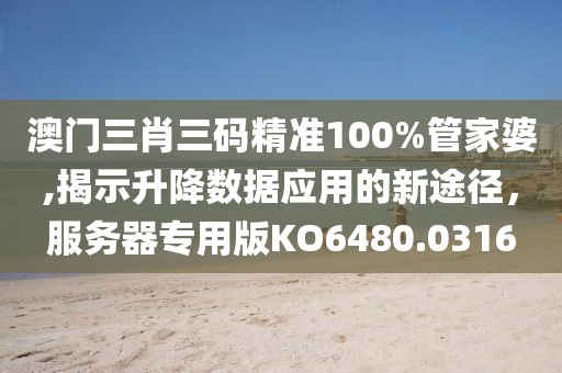 澳門三肖三碼精準100%管家婆,揭示升降數據應用的新途徑，服務器專用版KO6480.0316