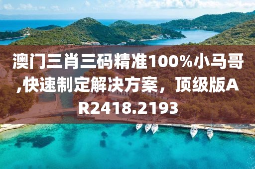 澳門三肖三碼精準100%小馬哥,快速制定解決方案，頂級版AR2418.2193