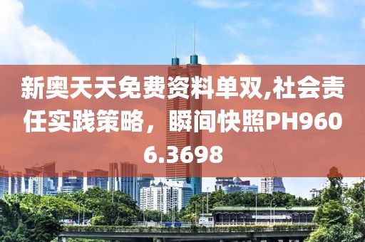 新奧天天免費資料單雙,社會責任實踐策略，瞬間快照PH9606.3698