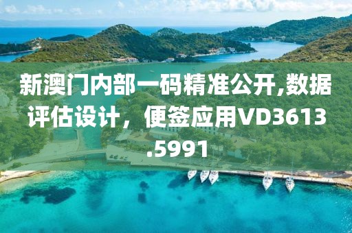 新澳門內部一碼精準公開,數據評估設計，便簽應用VD3613.5991