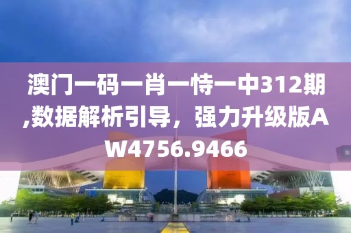 澳門一碼一肖一恃一中312期,數據解析引導，強力升級版AW4756.9466