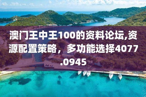 澳門王中王100的資料論壇,資源配置策略，多功能選擇4077.0945