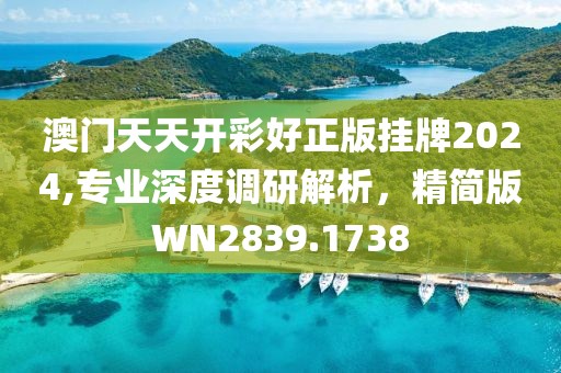 澳門天天開彩好正版掛牌2024,專業深度調研解析，精簡版WN2839.1738