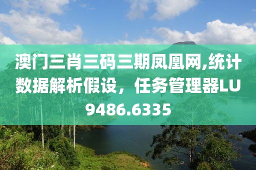 澳門三肖三碼三期鳳凰網,統計數據解析假設，任務管理器LU9486.6335