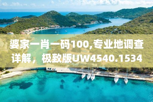 婆家一肖一碼100,專業地調查詳解，極致版UW4540.1534