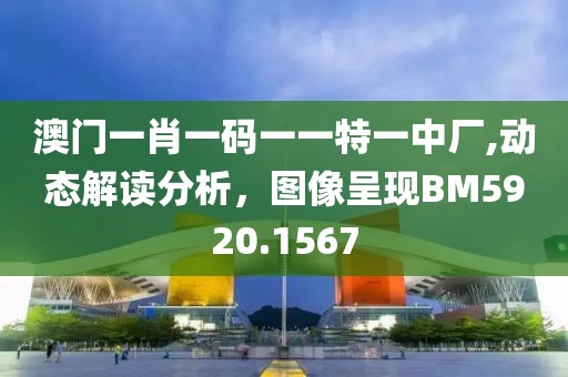 澳門一肖一碼一一特一中廠,動態解讀分析，圖像呈現BM5920.1567