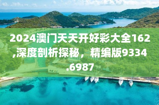 2024澳門天天開好彩大全162,深度剖析探秘，精編版9334.6987