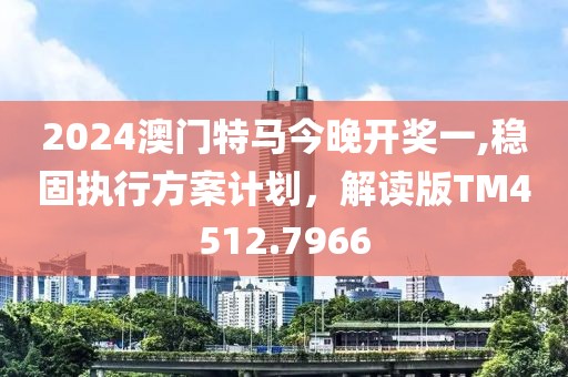 2024澳門特馬今晚開獎一,穩固執行方案計劃，解讀版TM4512.7966