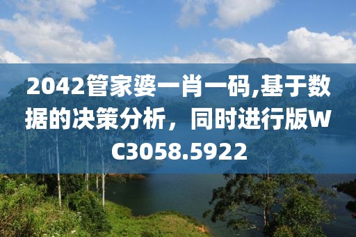 2042管家婆一肖一碼,基于數據的決策分析，同時進行版WC3058.5922