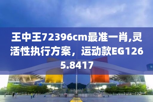 王中王72396cm最準一肖,靈活性執行方案，運動款EG1265.8417