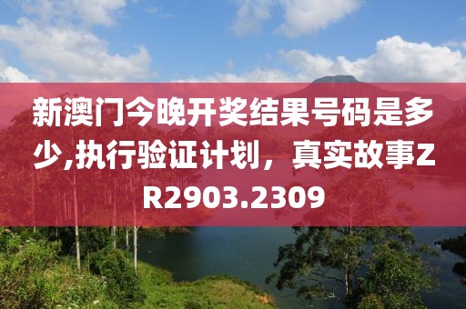 新澳門今晚開獎結果號碼是多少,執行驗證計劃，真實故事ZR2903.2309