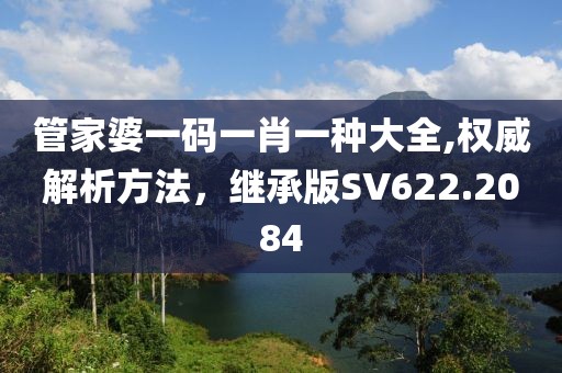 管家婆一碼一肖一種大全,權威解析方法，繼承版SV622.2084