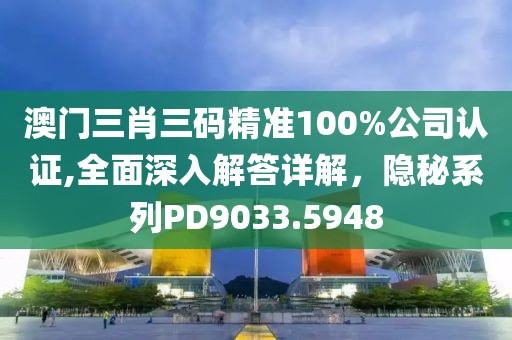 澳門三肖三碼精準100%公司認證,全面深入解答詳解，隱秘系列PD9033.5948