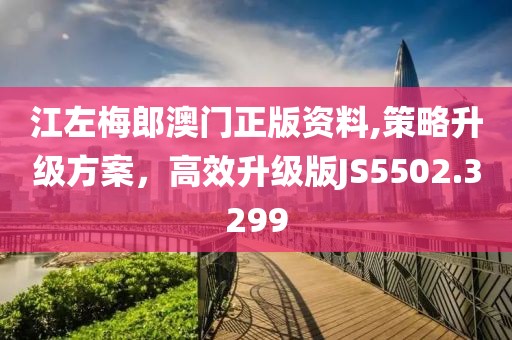 江左梅郎澳門正版資料,策略升級方案，高效升級版JS5502.3299