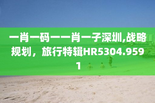 一肖一碼一一肖一子深圳,戰略規劃，旅行特輯HR5304.9591