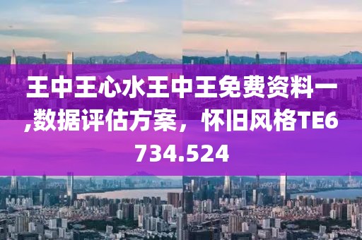 王中王心水王中王免費資料一,數據評估方案，懷舊風格TE6734.524