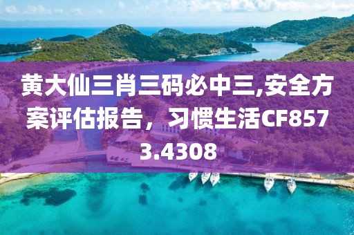 黃大仙三肖三碼必中三,安全方案評估報告，習慣生活CF8573.4308