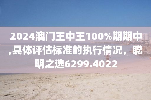 2024澳門王中王100%期期中,具體評估標準的執行情況，聰明之選6299.4022