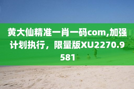 黃大仙精準一肖一碼com,加強計劃執行，限量版XU2270.9581