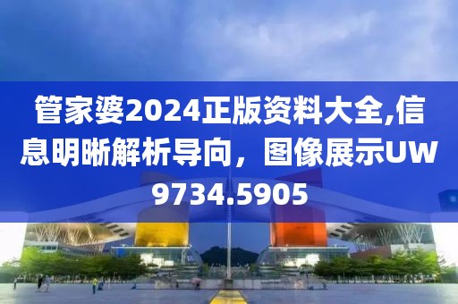 管家婆2024正版資料大全,信息明晰解析導向，圖像展示UW9734.5905