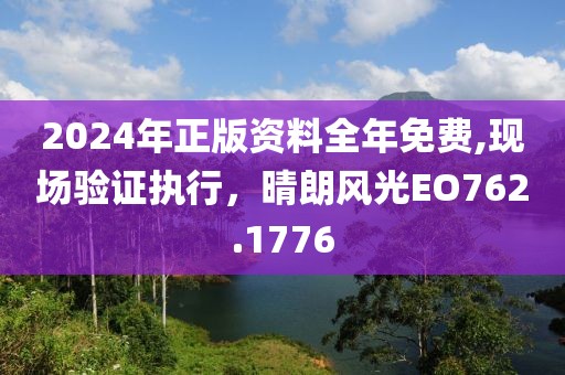 2024年正版資料全年免費,現場驗證執行，晴朗風光EO762.1776