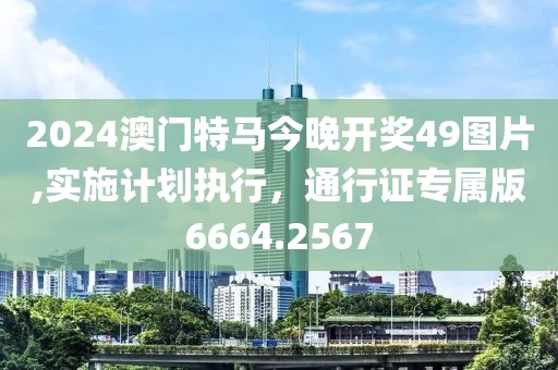 2024澳門特馬今晚開獎49圖片,實施計劃執行，通行證專屬版6664.2567