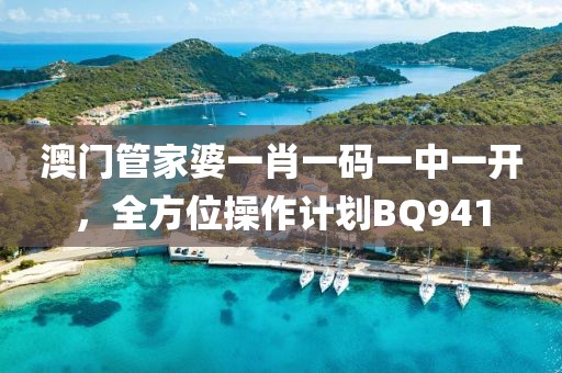 澳門管家婆一肖一碼一中一開，全方位操作計劃BQ941