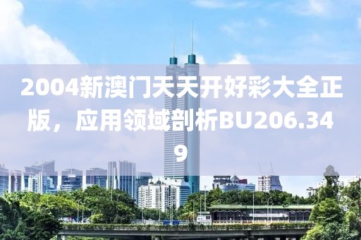 2004新澳門天天開好彩大全正版，應用領域剖析BU206.349