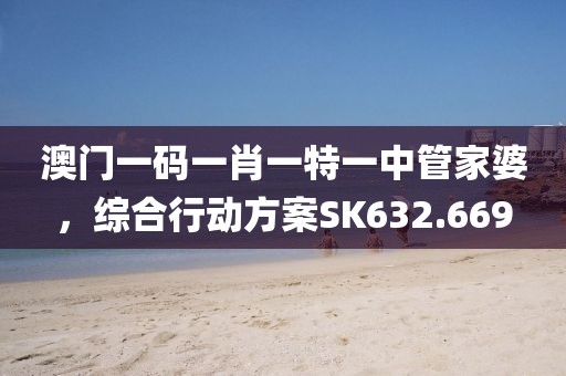 澳門一碼一肖一特一中管家婆，綜合行動方案SK632.669