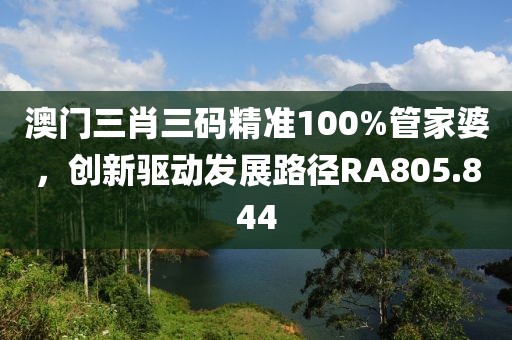 澳門三肖三碼精準100%管家婆，創新驅動發展路徑RA805.844